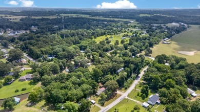 Home and Two Lots near Lake Palestine - photo 43