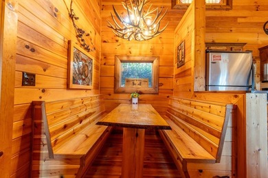 Dreaming of life on the Hiwassee River? This FULLY FURNISHED - photo 15
