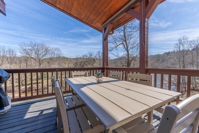 Dreaming of life on the Hiwassee River? This FULLY FURNISHED - photo 30