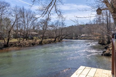 Dreaming of life on the Hiwassee River? This FULLY FURNISHED - photo 33