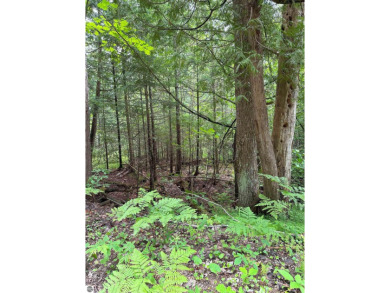 Bear Lake - Kalkaska County Lot For Sale in Kalkaska Michigan