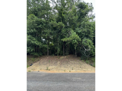 Lake Lot For Sale in Andalusia, Alabama