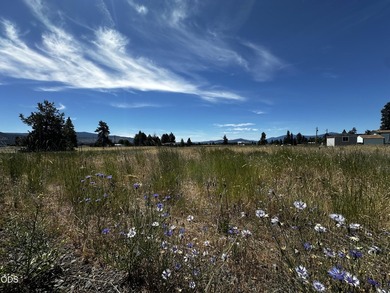 Affordable parcel with nice views of surrounding mountains - photo 7