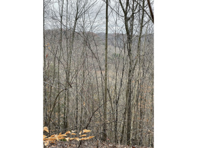 .6-Acre Lake Cumberland Lake View Cabin Building Lot - photo 2
