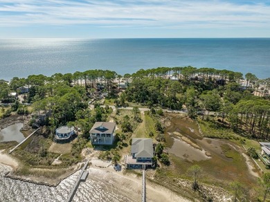 Enjoy breathtaking views of Alligator Bay and the tranquil - photo 4