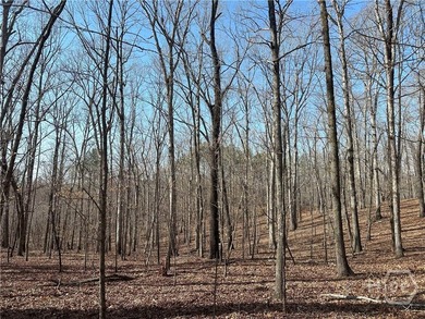Oconee Preserve is a +/- 197.12 Acre Conservation Tract located - photo 9