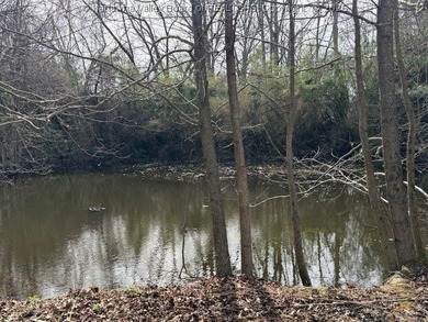 Highly sought after flat lot in Maplewood Estates with pond - photo 17