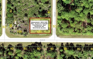 Port Charlotte Waterway Area Lot For Sale in Port Charlotte Florida