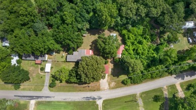 Home and Two Lots near Lake Palestine - photo 37