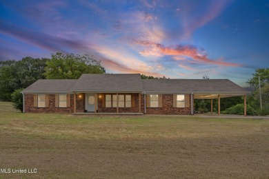 Lake Home For Sale in Coldwater, Mississippi