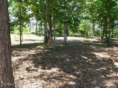 Great easy build lot with Lakeviews. This lot lends itself to a - photo 2