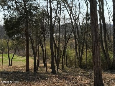 Great easy build lot with Lakeviews. This lot lends itself to a - photo 3