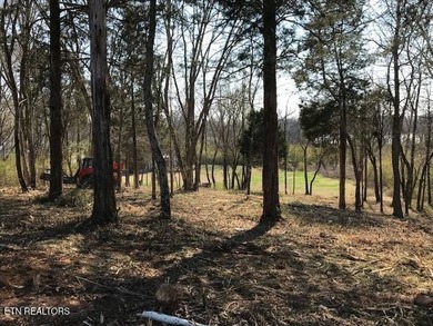 Great easy build lot with Lakeviews. This lot lends itself to a - photo 4