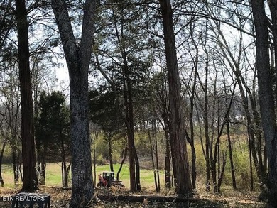 Great easy build lot with Lakeviews. This lot lends itself to a - photo 5