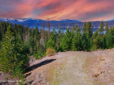 Coeur d Alene Lake Acreage For Sale in Harrison Idaho