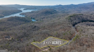 Lake Acreage For Sale in Clayton, Georgia