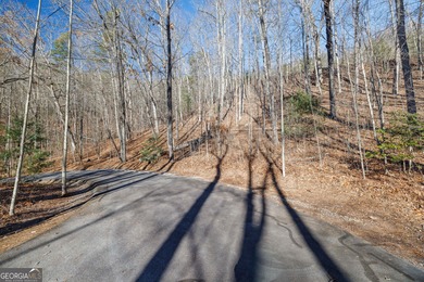 Discover the perfect blend of privacy and luxury with this - photo 3