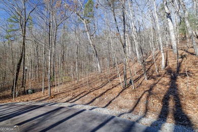 Discover the perfect blend of privacy and luxury with this - photo 6