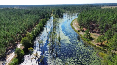 Discover a rare opportunity to own 825 acres of unspoiled - photo 11