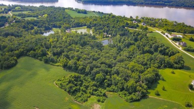 Lake Lot For Sale in Golden Eagle, Illinois