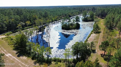 Discover a rare opportunity to own 825 acres of unspoiled - photo 12