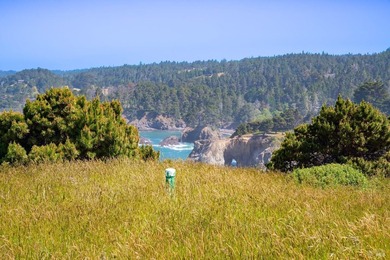 Unmatched views surround 3 sides of this rare oceanfront parcel - photo 14