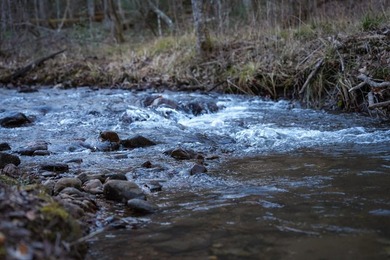 Mountain Top Sanctuary minutes from the Franklin, NC airport - photo 14