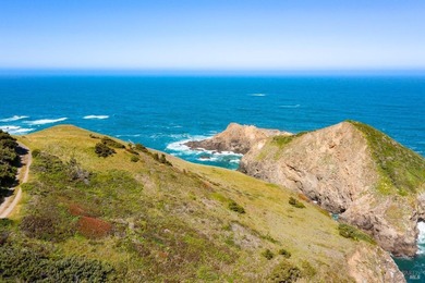 Unmatched views surround 3 sides of this rare oceanfront parcel - photo 15