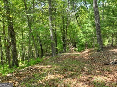 Build your dream home on this beautiful 2.21-acre lot in an - photo 15