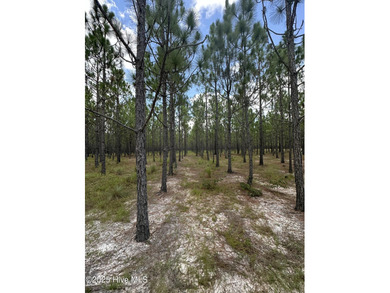 Discover a rare opportunity to own 825 acres of unspoiled - photo 15