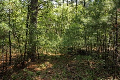 Come take a look at this 1 acre parcel with deeded access to - photo 5