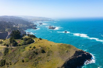 Unmatched views surround 3 sides of this rare oceanfront parcel - photo 16