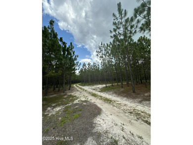 Discover a rare opportunity to own 825 acres of unspoiled - photo 16
