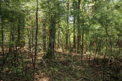 Come take a look at this 1 acre parcel with deeded access to - photo 6