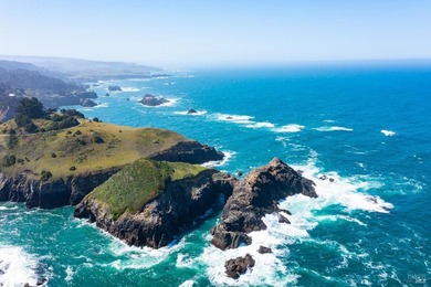 Unmatched views surround 3 sides of this rare oceanfront parcel - photo 17
