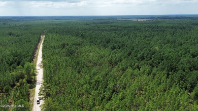 Discover a rare opportunity to own 825 acres of unspoiled - photo 17