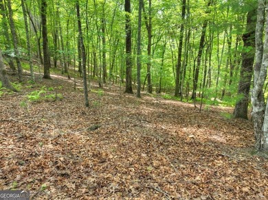 Build your dream home on this beautiful 2.21-acre lot in an - photo 18