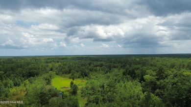 Discover a rare opportunity to own 825 acres of unspoiled - photo 18