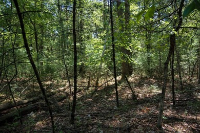 Come take a look at this 1 acre parcel with deeded access to - photo 8
