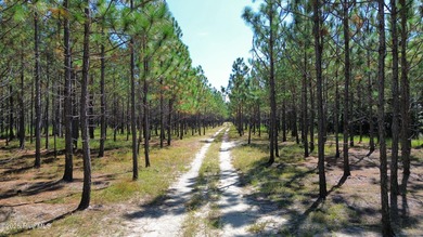 Discover a rare opportunity to own 825 acres of unspoiled - photo 19