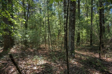 Come take a look at this 1 acre parcel with deeded access to - photo 9