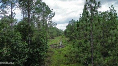 Discover a rare opportunity to own 825 acres of unspoiled - photo 20