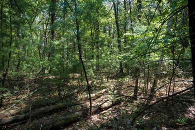 Come take a look at this 1 acre parcel with deeded access to - photo 10