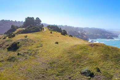 Unmatched views surround 3 sides of this rare oceanfront parcel - photo 21