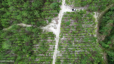Discover a rare opportunity to own 825 acres of unspoiled - photo 21