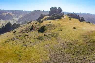 Unmatched views surround 3 sides of this rare oceanfront parcel - photo 22