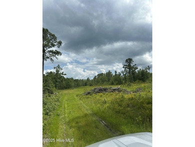 Discover a rare opportunity to own 825 acres of unspoiled - photo 25