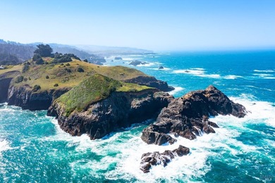 Unmatched views surround 3 sides of this rare oceanfront parcel - photo 26