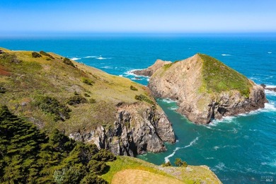 Unmatched views surround 3 sides of this rare oceanfront parcel - photo 27