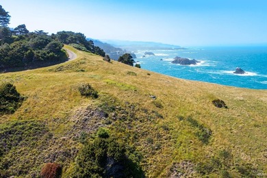 Unmatched views surround 3 sides of this rare oceanfront parcel - photo 29